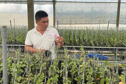 Hé lộ bí quyết thành công của ông chủ vườn lan Lê Văn Nam