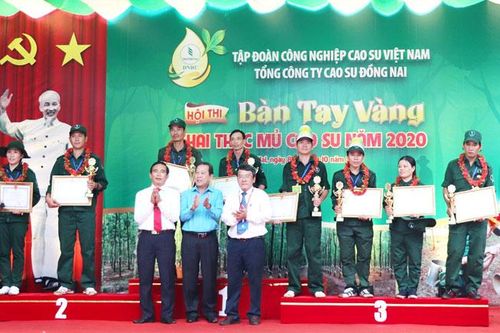 Những đôi tay vàng trong ''làng'' cạo mủ