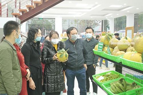 Thuận Châu khai trương Trung tâm giới thiệu, trưng bày và bán các sản phẩm OCOP huyện