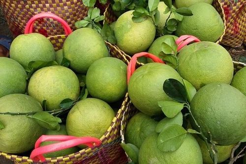 Nghiên cứu khả năng sử dụng màng bao ăn được trong chế biến giảm thiểu sản phẩm từ bưởi da xanh