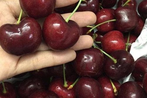 Người phụ nữ ngộ độc nặng sau khi ăn cherry, chuyên gia khuyến cáo lưu ý đặc biệt khi ăn rất hay bị bỏ qua