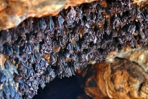 Những ngôi đền lạ trên thế giới