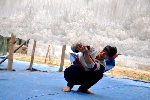 Thanh Hóa: Làng nghề miến dong Cẩm Bình vào vụ Tết