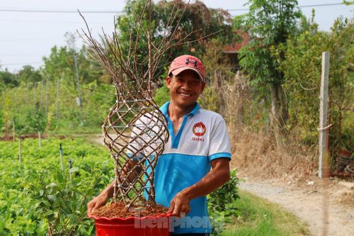 Chàng trai 9x uốn mai vàng thành lộc bình tiền triệu 'cháy' hàng dịp Tết