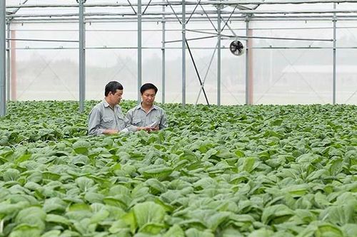 Rất cần những 'đại bàng' nhưng đừng quên bầy 'chim sẻ'