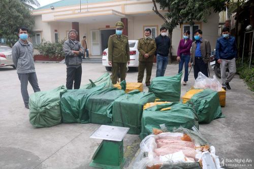 Tiêu hủy hơn 14 tấn thịt lợn và sản phẩm động vật bốc mùi, không rõ nguồn gốc