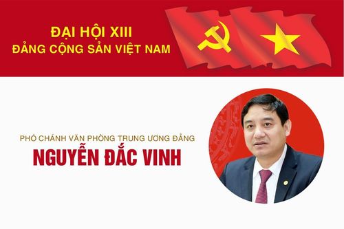 Infographic: Sự nghiệp Phó Chánh Văn phòng Trung ương Đảng Nguyễn Đắc Vinh