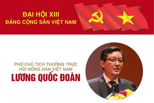 Infographic: Sự nghiệp Phó Chủ tịch Hội Nông dân Việt Nam Lương Quốc Đoàn