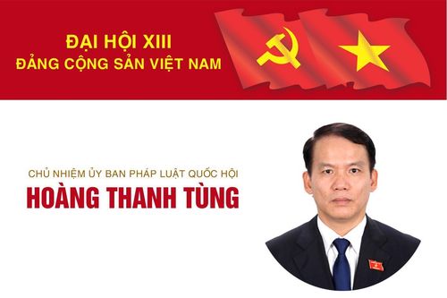 Infographic: Sự nghiệp Chủ nhiệm Ủy ban Pháp luật của Quốc hội Hoàng Thanh Tùng