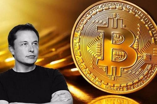 Elon Musk: 'Tôi nên mua Bitcoin từ 8 năm trước'