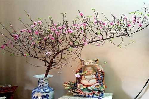 Cành đào dáng huyền tăng giá từng ngày dịp Tết Tân Sửu
