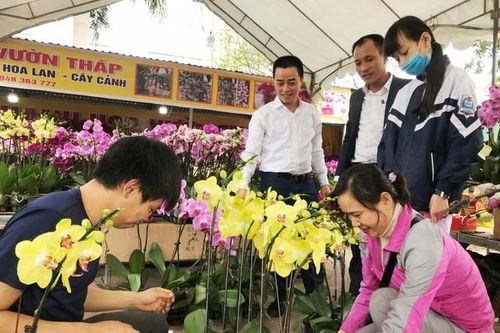 Hà Tĩnh: Thị trường hoa Lan chơi Tết 'thổi' giá lên chóng mặt