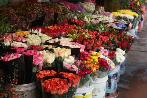 Thị trường ngày 1/2: Xả hàng hoa vì COVID-19, dịch vụ làm đẹp 'hốt bạc' ngày Tết