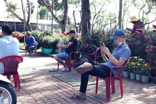 Chợ hoa Tết xứ Huế 'nóng lòng' chờ khách mua