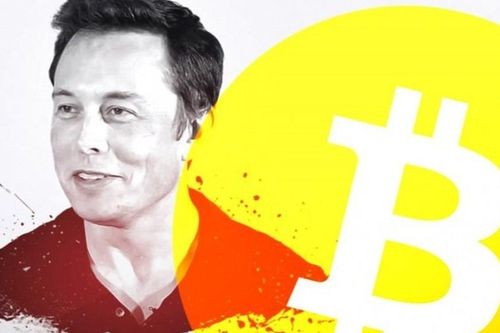 Elon Musk tiếc vì không mua Bitcoin 8 năm trước