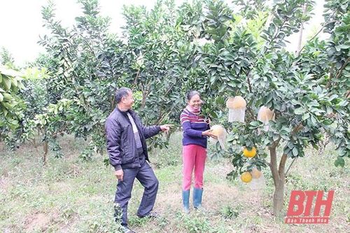 Tinh thần nêu gương trong cán bộ, đảng viên huyện Cẩm Thủy