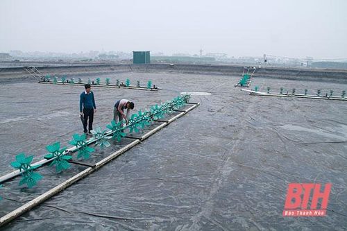 Hiệu quả nguồn vốn vay phát triển nuôi trồng thủy sản