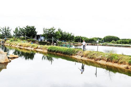 Cam Lâm: Thu hồi hơn 11ha đất thực hiện dự án kè và đường quanh đầm Thủy Triều