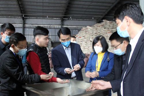 Lào Cai: Siết chặt công tác hậu kiểm, kiểm tra về an toàn thực phẩm dịp Tết