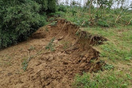 'Hà bá' nuốt chửng đất sản xuất của dân ven sông Trà Khúc: Dựng kè chống sạt lở
