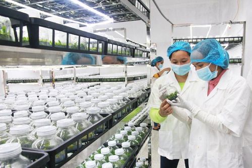 Ưu tiên đầu tư cho ''tam nông''