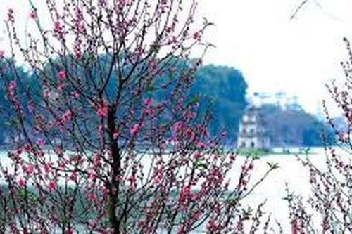 Mưa đá, dông lốc có thể xảy ra ở miền Bắc dịp cận Tết