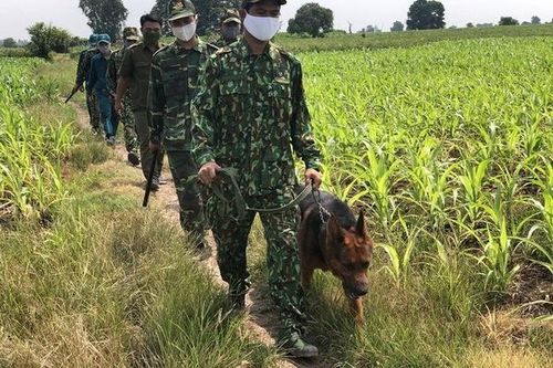 Truy tố 2 đối tượng tổ chức cho người nhập cảnh trái phép
