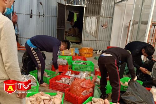 Tiêu hủy 400kg thực phẩm đông lạnh không hóa đơn chứng từ