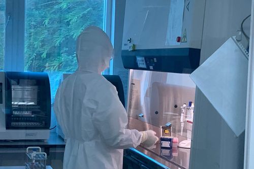 Virus trên bệnh nhân ở Hải Dương, Quảng Ninh tương tự chủng mới ở Anh