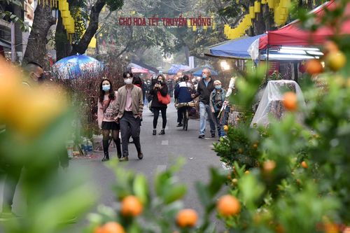 Rực rỡ chợ hoa Tết Hàng Lược