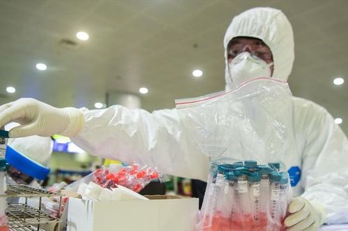 Liên quan đến ổ dịch Hải Dương và Quảng Ninh: 11 mẫu có trình tự gene giống virus B.1.1.7 ở Anh