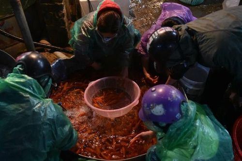 Chợ cá chép đỏ lớn nhất miền Bắc nhộn nhịp trước Tết ông Công, ông Táo