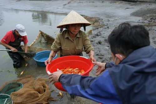 Làng cung cấp 'phương tiện' cho ông Công, ông Táo
