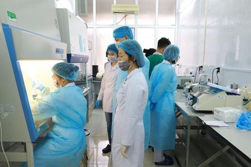 Tiền sử bệnh hen và béo phì, BN1849 đang điều trị ở Quảng Ninh phải chuyển viện