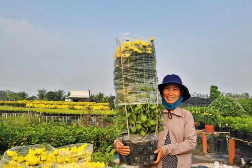 Tết rộn ràng ở thủ phủ hoa miền Tây