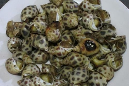 Ngon nhất ốc hương nướng Phan Thiết