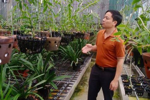 Ông chủ 7X Mạnh Hùng và bí quyết thành công khi trồng lan