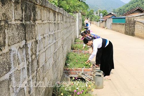 Những 'Tuyến đường nở hoa' ở Phù Yên