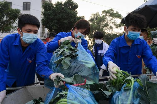 Tặng xe rau cho người dân Bạch Trữ