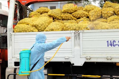 Hỗ trợ tiêu thụ nông sản cho nông dân vùng dịch