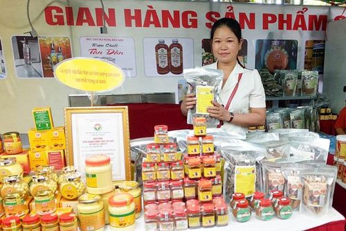 Hợp tác xã sáng tạo, vượt khó