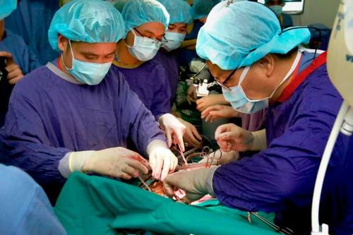 Câu chuyện cảm động về một cậu bé chết não hiến tạng cho 3 người khác