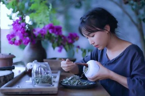 'Tiên nữ đồng quê' Lý Tử Thất lập kỷ lục Guinness với loạt video 'cổ phong mỹ thực'