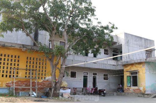 Khoảng lặng ở 'xóm chạy thận' những ngày giáp Tết