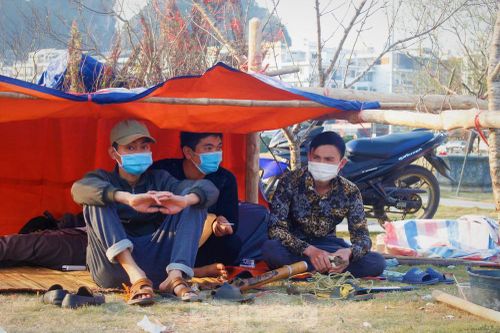 Đào quất ế ẩm, tiểu thương ở TP. Hạ Long mòn mỏi ngóng khách đến mua