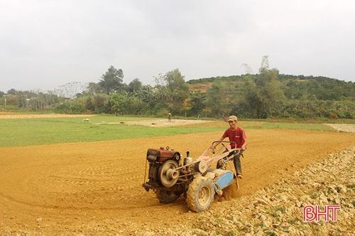 Nông dân Hà Tĩnh 'đua' nắng ráo, đẩy nhanh tiến độ gieo trỉa lạc xuân