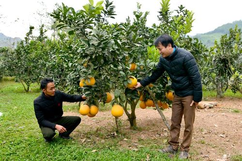Thực hành nêu gương Tân Tiến chuyển mình