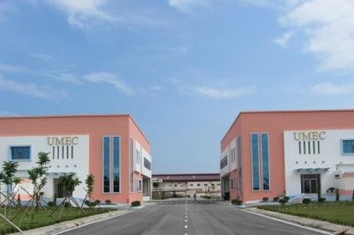 Bất chấp lợi nhuận lao dốc, cổ phiếu KBC vẫn tăng mạnh