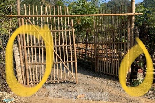 Xây dựng nghĩa trang cạnh trường đại học