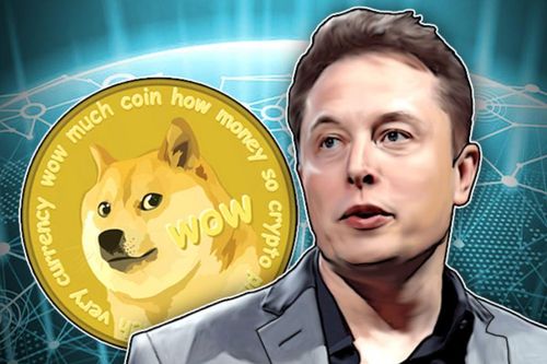 Chán Bitcoin, các nhà đầu tư đang theo Elon Musk mua Dogecoin